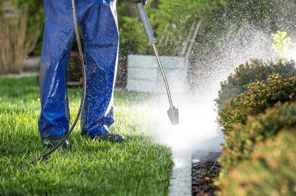 Curb Cleaning in Lake Stevens