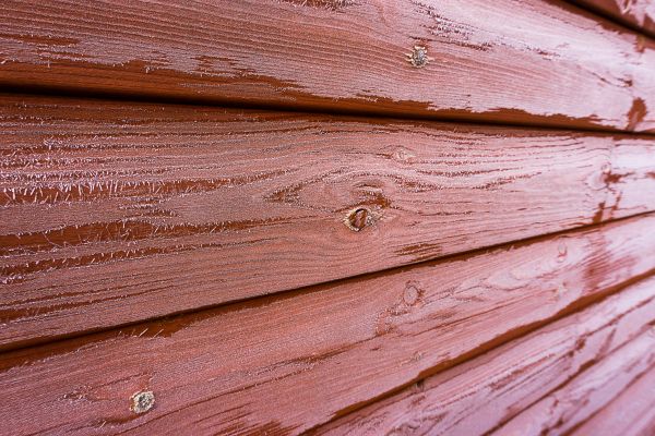 Cedar Siding Cleaning in Lake Stevens
