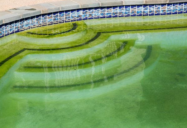 Pool Deck Algae Removal in Lake Stevens