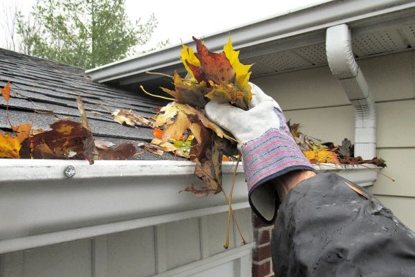 Eaves Cleaning in Lake Stevens